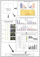 Sesamol inhibits fungal growth by destroying the redox dynamic equilibrium in Pestalotiopsis neglecta