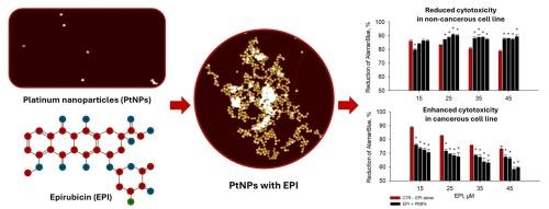 Platinum nanoparticles interact with epirubicin in size dependent manner and affect its biological activity