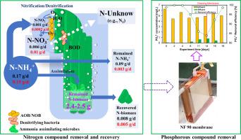 A novel photosynthesis-based strategy for improved sewage treatment