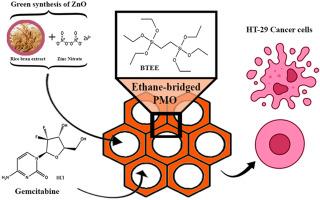 Rice bran extract-assisted synthesis of PMO/ZnO nanocomposites for enhanced gemcitabine loading and anticancer efficacy