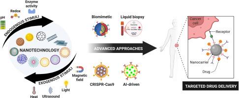 Advances in stimuli-responsive nanoparticles for cancer therapy: Mechanisms, functional materials, and emerging technologies