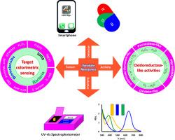 Colorimetric detection platforms based on enzyme-mimetic activities of metal (M)-substituted vanadates (MxVyOz): A review of synthesis, mechanisms, and sensing applications