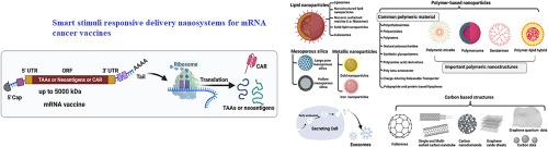 Stimuli-responsive nanomaterials for the precision delivery of mRNA cancer vaccines
