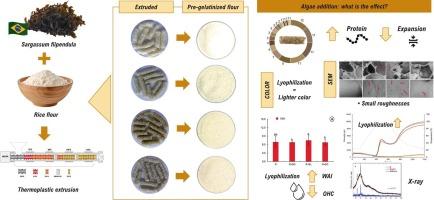 Interaction between the seaweed Sargassum filipendula and rice flour in the production of ready-to-eat foods by thermoplastic extrusion