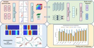 Multimodal deep learning method based on multiple spectra for lung cancer early diagnosis