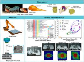 Biomimetic 3D printed Herringbone-Bouligand SHCC for ultra-high impact resistance