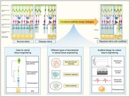 Functional scaffolds design strategies for retinal repair and regeneration