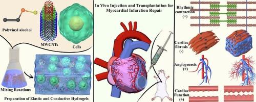Applications of elastic and conductive hydrogels in myocardial infarction repair
