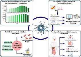 Artificial intelligence-driven strategies to enhance the application of lactic acid bacteria as functional probiotics: Health promotion and optimization for industrial applications
