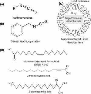 Bacterial type IV secretion systems and spread of antimicrobial resistance: a study of potential inhibitors to T4SS-based resistance spread