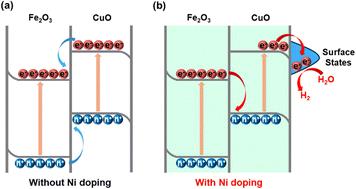 Surface state activation driving charge separation via Z-scheme Fe2O3/CuO heterojunctions for photocatalytic H2 evolution