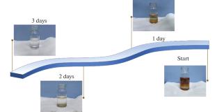 Investigation on the Inhibition of Discoloration in Methyltin Mercaptide Solution