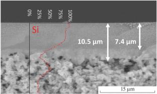 Effect of Concentration Polarization in the Pervaporation Separation of n-Butanol through a Composite Membrane Based on Poly(decyl/pentafluoropropyl acrylate)methylsiloxane Copolymer