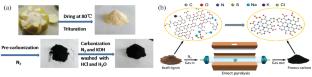 Polymer-Derived N/S-Doped Carbons for Electrochemical Systems: A Mini-Review