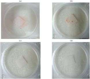 Structure and Properties of Cellulose Acetate Membranes Modified via Biocidal Compositions Obtained from Forest Chemical Raw Materials