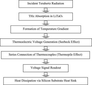 A graphene/lithium tantalate THz detector based on the thermopile effect