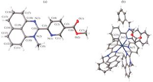 Synthesis, Structure, and Optical and Electrochemical Properties of a Chromophoric Cyclometalated Iridium(III) Complex