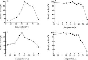 Cloning, expression, purification, and mutant construction of the chitinase PbCHI2 gene from Photobacterium sp.