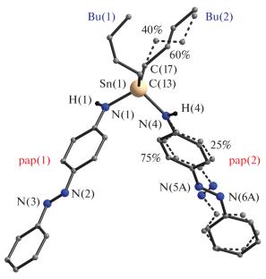 New Stannandiamines Containing Photoactive Fragments
