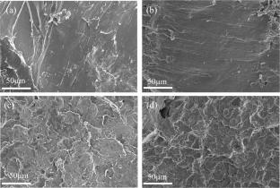 Incorporation of biomass carbon to boost mechanical, thermal and tribological properties of polyoxymethylene composites