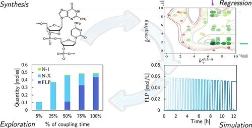 Kinetic Modeling of Solid-Phase Oligonucleotide Synthesis: Mechanistic Insights and Reaction Dynamics