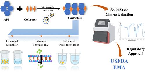 Cocrystal Engineering-Based Strategies for Enhancing the Permeability of Poorly Permeable APIs