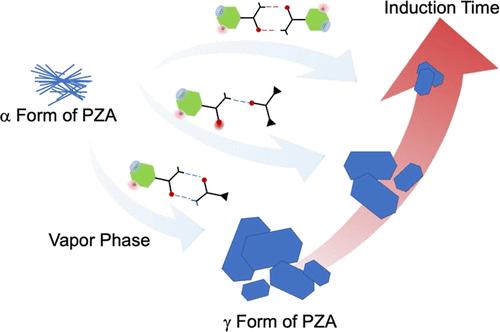 Synergistic Effect of Urea Derivatives on Pyrazinamide Vapor Pressure and Crystal Growth