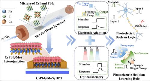 Van der Waals Epitaxy of CsPbI3/MoS2 Heterojunction Phototransistors for Neuromorphic Computing