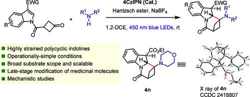 Photoredox-Catalyzed Dearomatization of Indoles with Amines: An Approach to Highly Strained Polycyclic Indolines
