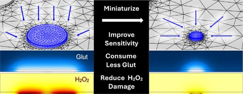Simulations of Implanted Glutamate Sensor Performance in Three Spatial Dimensions and Time Inform Sensor Design and Data Interpretation
