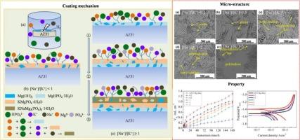 Cation competition in phosphate solution: Tailoring the composition and protectiveness of coatings on AZ31 Mg alloy