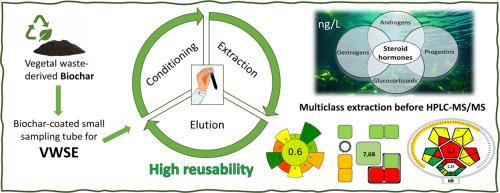 Agri-food waste biochar-based green vial wall sorptive extraction: Downscaled portable device for steroids in fresh and brackish water samples