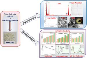 Neem fruit pulp extract mediated biosynthesis, characterization of zinc oxide nanoparticles, and evaluation of their antioxidant, anticancer, and catalytic properties