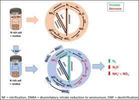 Manganese concentration influences nitrogen cycling in agricultural soil