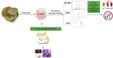 Characterization of a green-synthesized heteropolysaccharide with promising diabetic wound healing potential