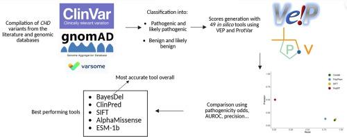 Assessing In Silico Tools for Accurate Pathogenicity Prediction in CHD Nucleosome Remodelers