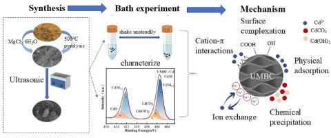 Adsorptive characteristics and mechanisms of cadmium in water onto magnesium- and ultrasound-modified rice straw biochars
