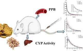 Herb-drug interaction between Dahuang-Gancao decoction and clozapine: A pharmacokinetic study in rats