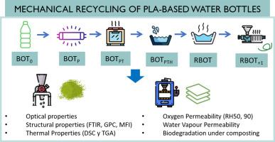 Simulated secondary mechanical recycling of PLA water bottles: insights into structural integrity, barrier performance, and biodegradability