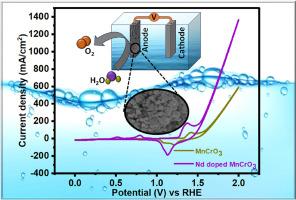 Enhancing the electrochemical efficacy of hydrothermally developed Nd-doped MnCrO3 electrocatalyst for oxygen evolution reaction (OER)