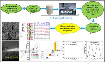 Development of LaCoO3 based thick film sensors for selective CO2 detection in greenhouse gas monitoring