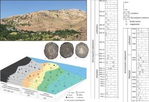 Foraminiferal assemblages and microfacies analysis of Triassic − Jurassic boundary successions in Bitlis Massif Carbonates, eastern Türkiye: Insights into depositional environments and paleoenvironmental changes