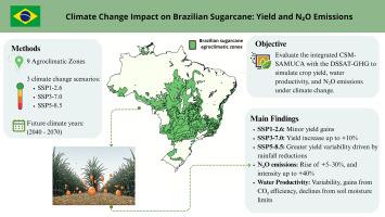 Assessing climate change impacts on sugarcane yield, crop water productivity, and nitrous oxide emissions across Brazil's bioenergy using the CSM-SAMUCA-sugarcane model