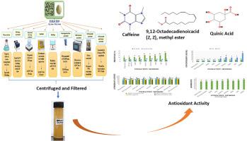 Assessing the influence of extraction techniques on the phytochemical composition of green coffee (Coffea arabica) using principal component analysis (PCA) and hierarchical cluster analysis (HCA)
