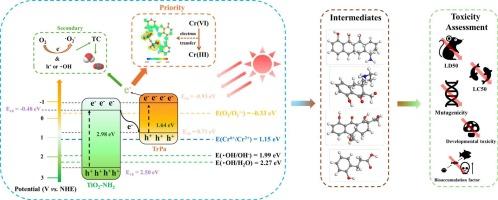 Enhanced dual-functional performance on the tetracycline degradation and chromium detoxification via Z-scheme COF/TiO2-NH2 heterojunctions