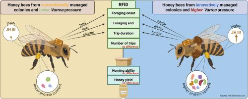 Balancing Varroa management and honey bee resilience: Behavioral and physiological consequences of temporarily high mite pressure