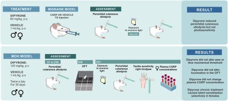 Dipyrone induces sex-dependent latent sensitization in a preclinical model of medication overuse headache