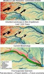 The geomorphological landscape of the Mariuá Archipelago: An anabranching megacomplex system in the Negro River, Amazon Basin (Brazil)