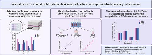 Establishing a quantitative link between crystal violet absorbance and biomass in biofilms