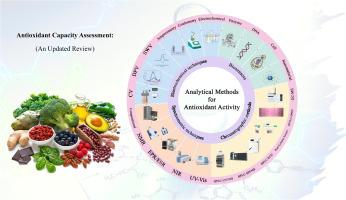 Analytical methodologies for antioxidant capacity assessment: An updated review
